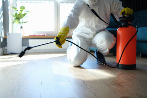 Professional Pest Control in Jerome, ID