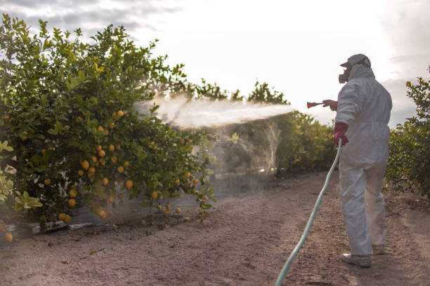 Best Best Pest Control Companies  in Jerome, ID