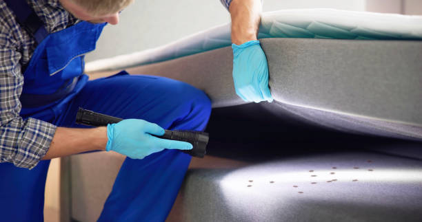 Best Affordable Pest Control Services  in Jerome, ID