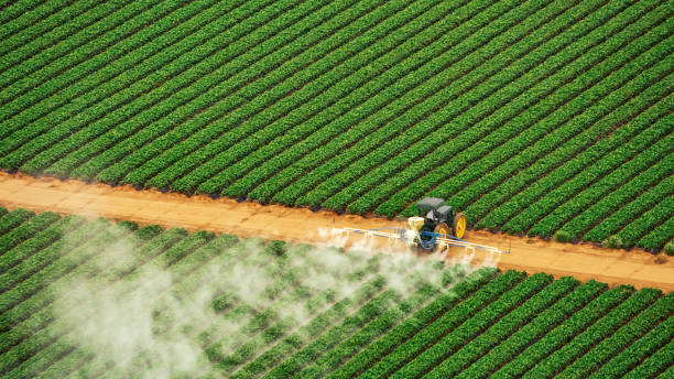 Best Commercial Pest Control Services  in Jerome, ID