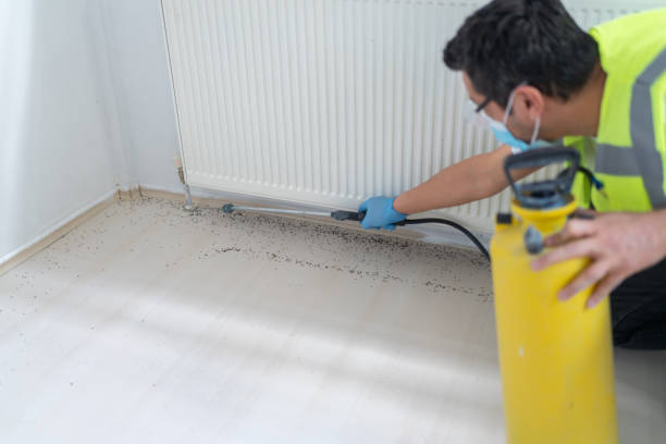 Best Best Pest Control Companies  in Jerome, ID