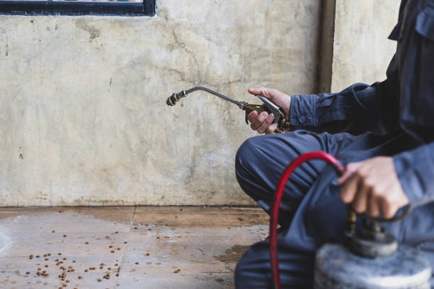 Best Ant Control Services  in Jerome, ID