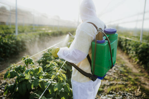 Best Affordable Exterminators  in Jerome, ID